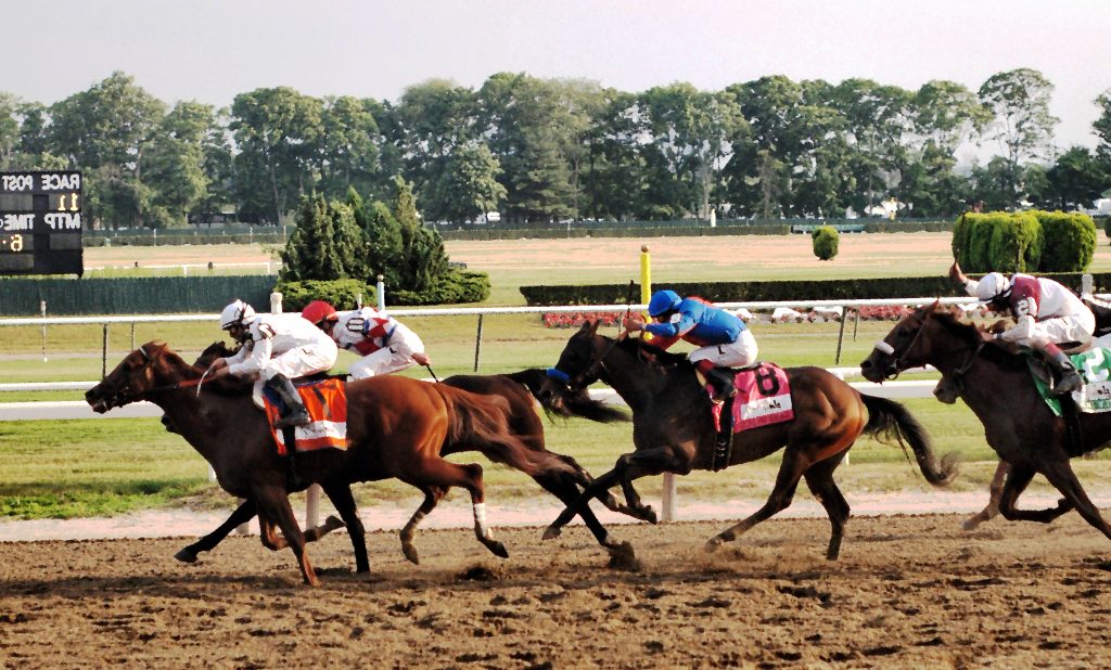 Why the Belmont Stakes is Known as the "Test of the Champion"