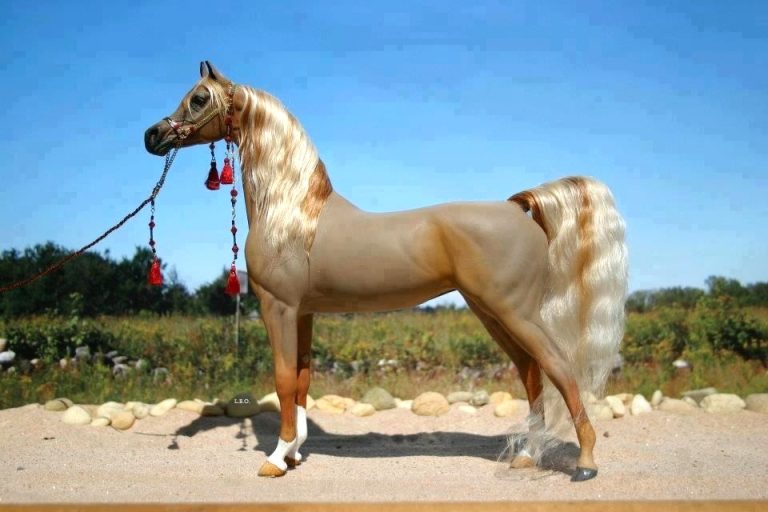 What is the Fastest Horse Breed? Winners Wire